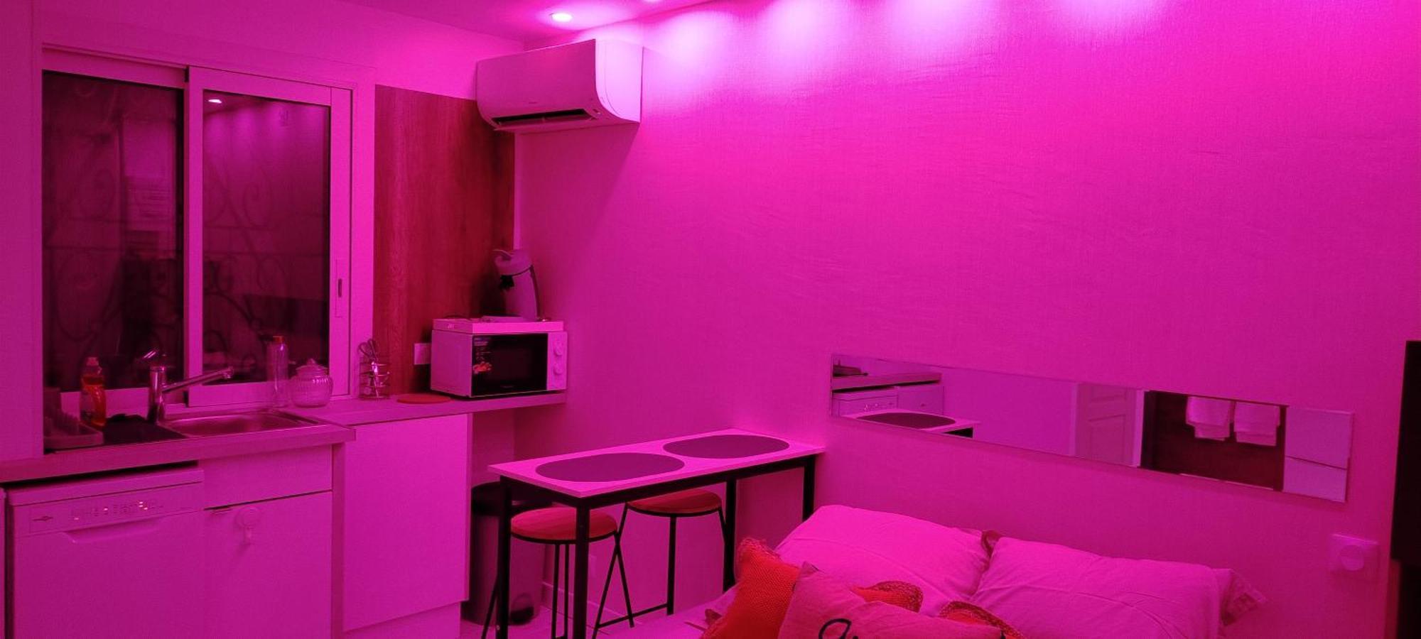 Studio Cosy Balneo Avec Jardin Le Barcares Ngoại thất bức ảnh